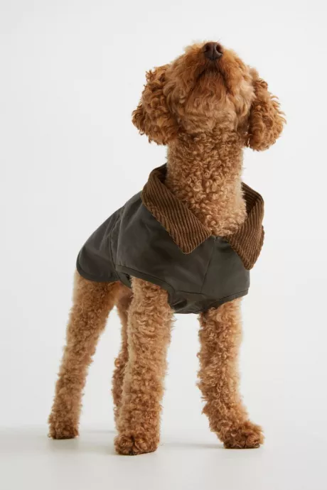 Gewachster Hundemantel