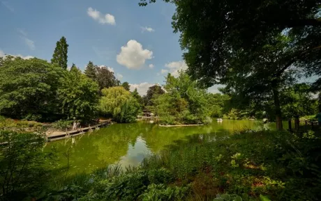 Palmengarten Frankfurt 16€