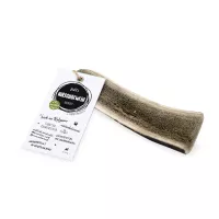 Hirschgeweih | halbiert