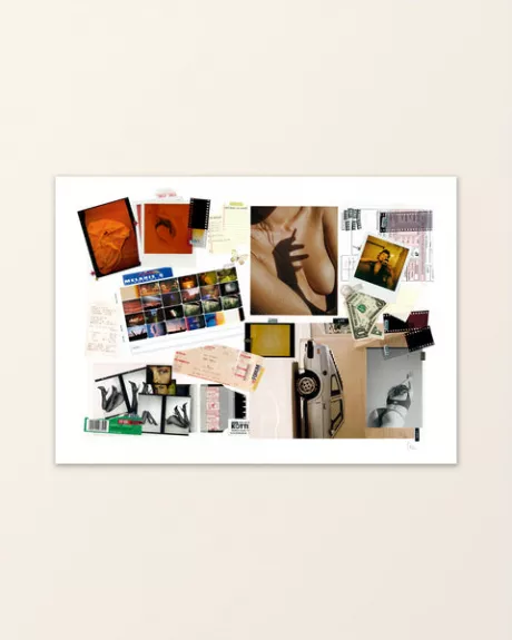 Muse Board - Limited Edition Collage - Vanellimelli – WallofArt