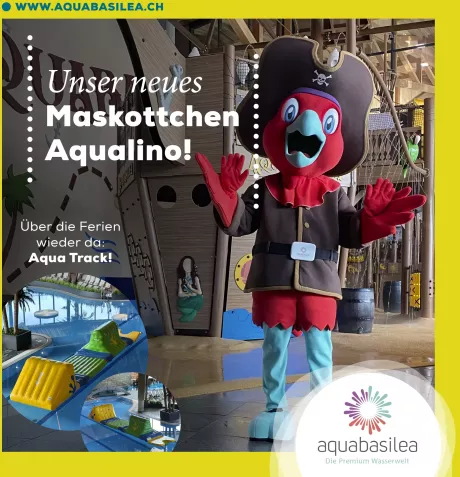 Das aquabasilea Erlebnisbad in Pratteln bei Basel