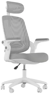 Cadeira Ergonômica Elements Astra