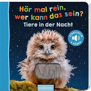 Hör mal rein, wer kann das sein? – Tiere in der Nacht: Streicheln und hören | Hochwertiges Pappbilderbuch mit 5 Sounds und Fühlelementen für Kinder ab 6 Monaten : unbekannt: Amazon.de: Books