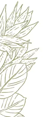 Gutscheinshop vabali spa Düsseldorf | vabali spa Düsseldorf