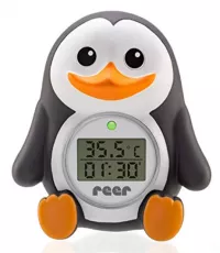 Badethermometer 14€